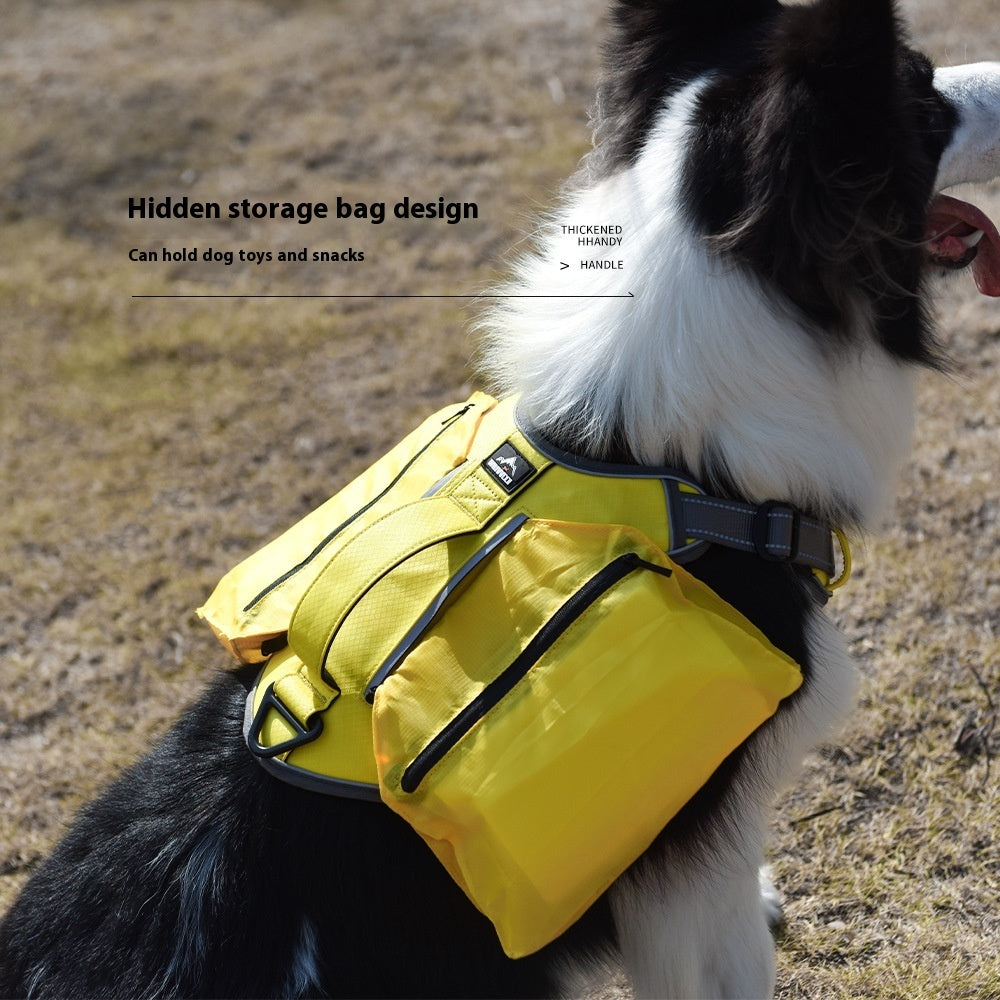 Ceinture de sécurité pour animaux de compagnie