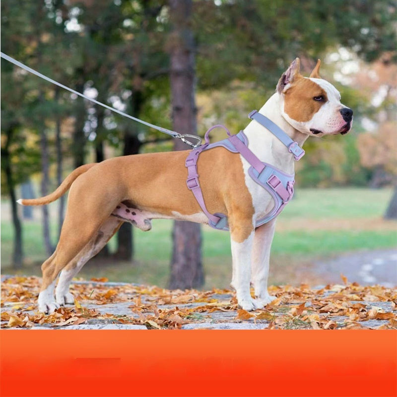Dog Harness and Leash Set