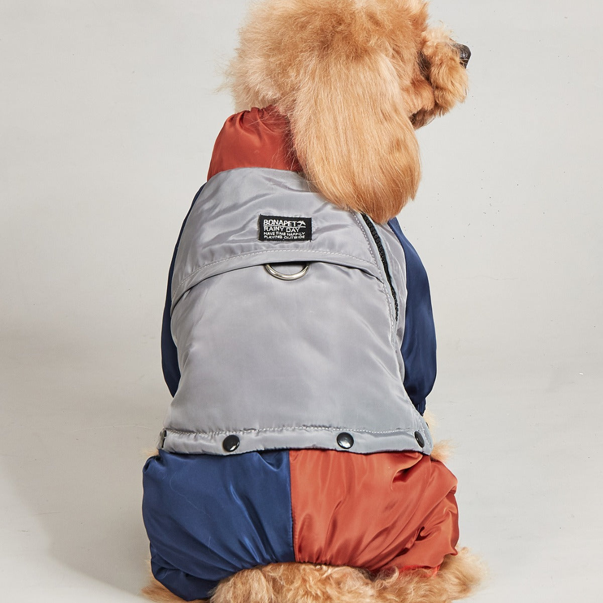 Pet Winter Color Matching Cotton-Padded Clothes for Medium and Large Dogs – Warm and Comfortable