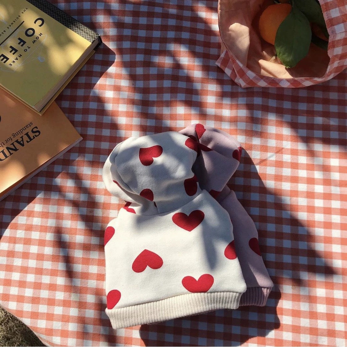 Warm and Cute Printed Love Sweater Pet