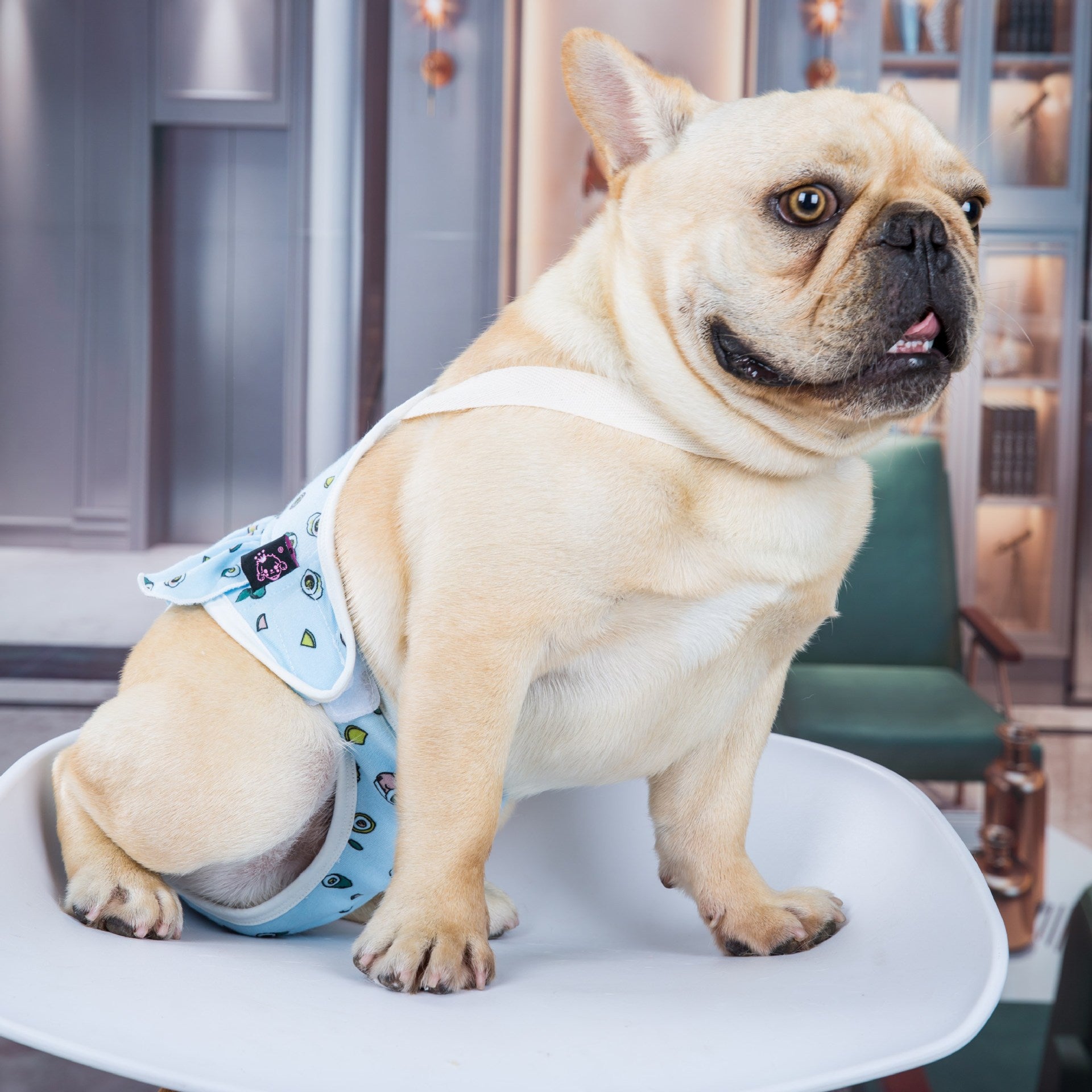Bull Anti-Harassment Heat Period Underwear Washable Female Dog Menstrual Safety Pants