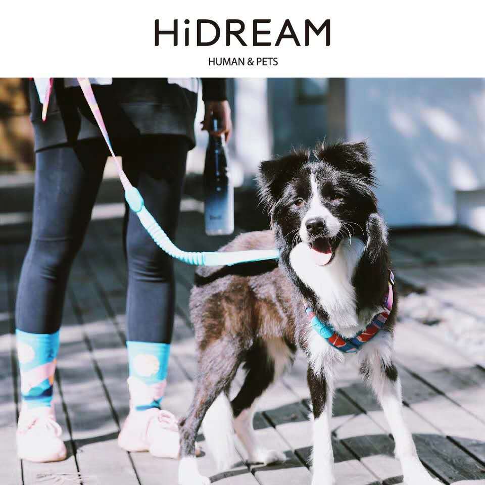 X-type Pet Leash and Harness for Dogs