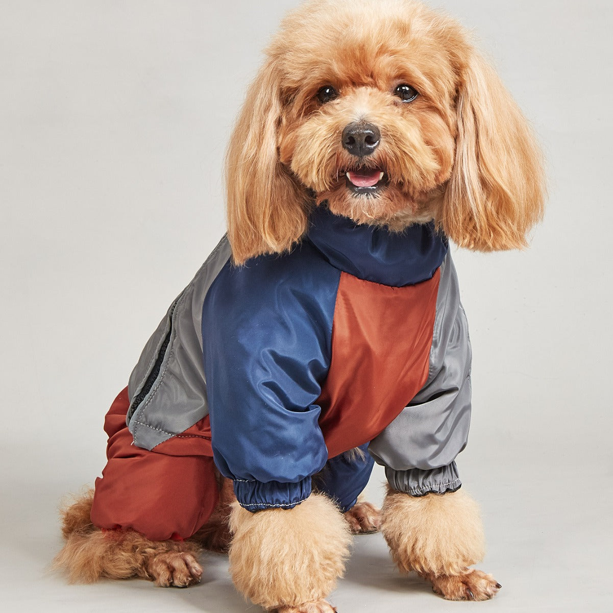 Pet Winter Color Matching Cotton-Padded Clothes for Medium and Large Dogs – Warm and Comfortable