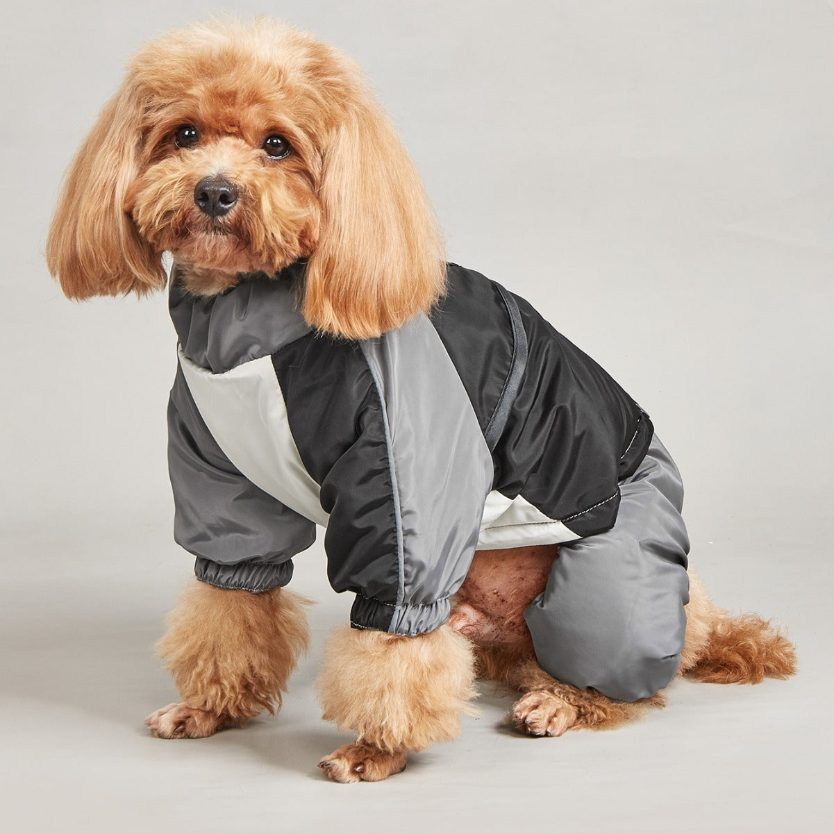 Pet Winter Color Matching Cotton-Padded Clothes for Medium and Large Dogs – Warm and Comfortable